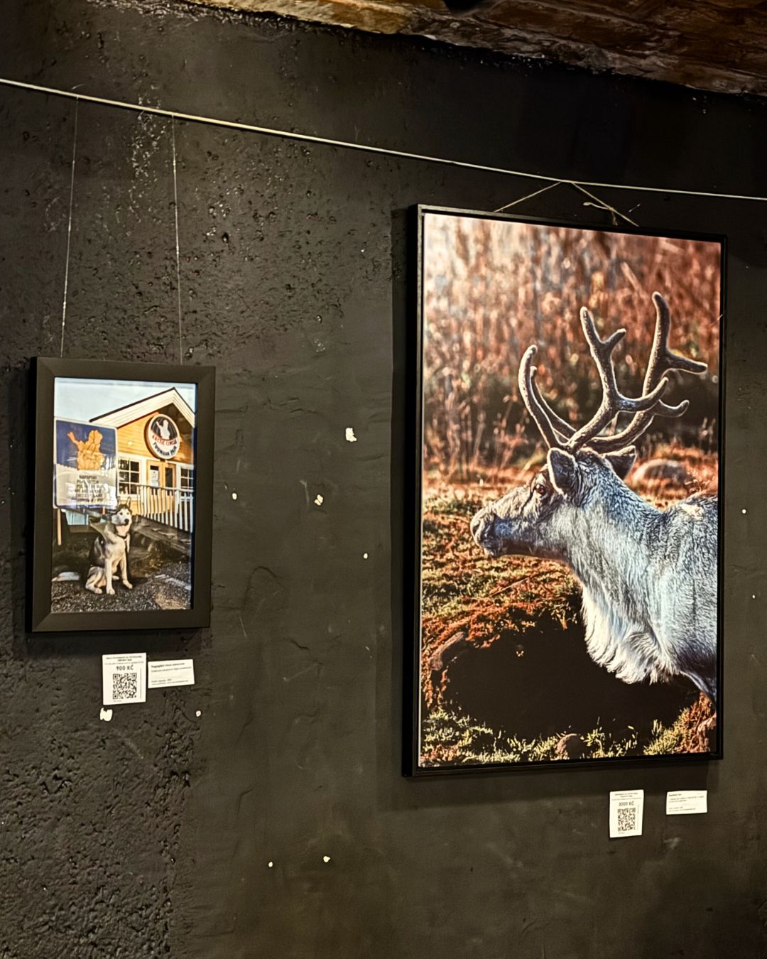 výstava AŽ NA SEVER Tereza Štrobachová obrazy