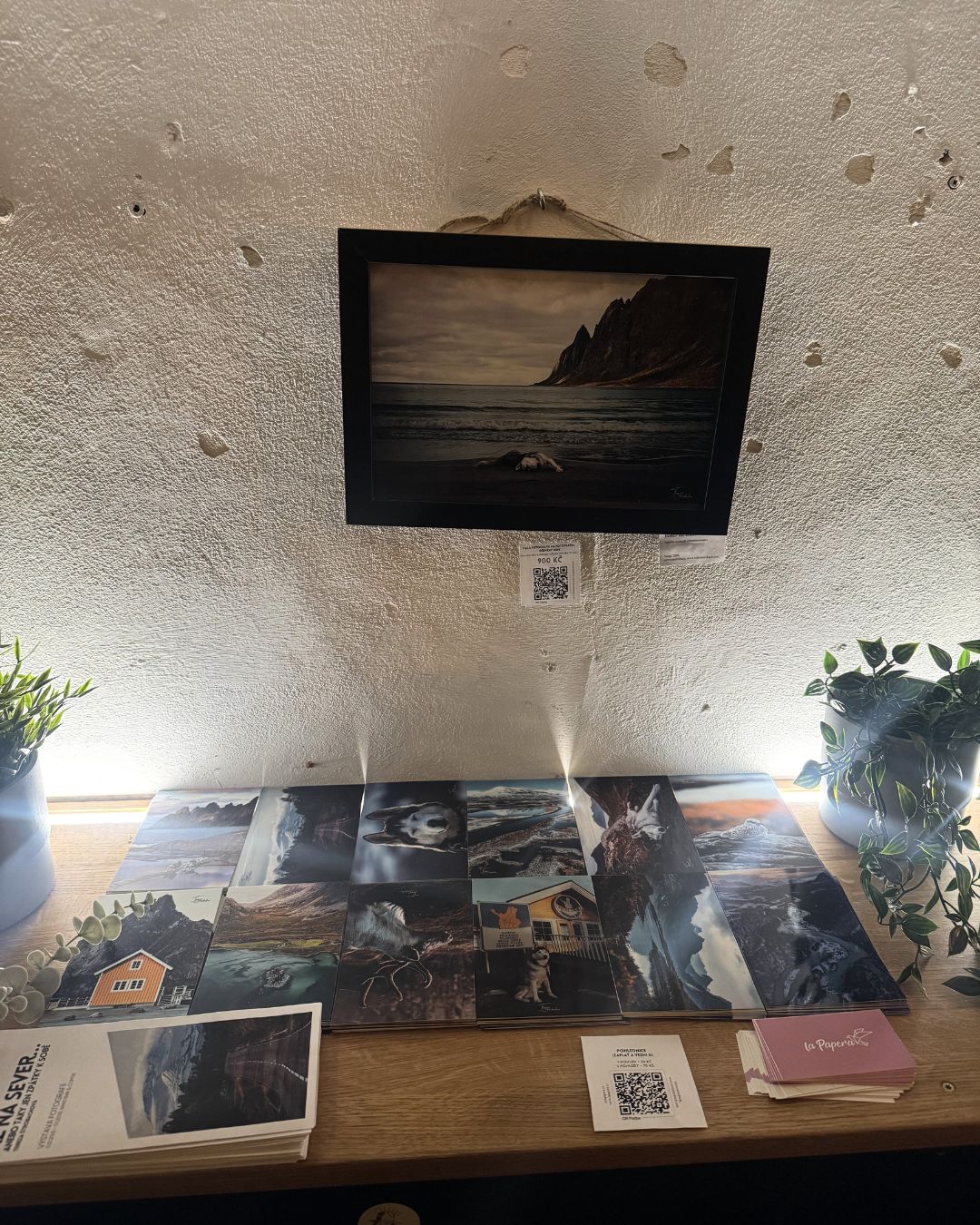 výstava AŽ NA SEVER Tereza Štrobachová pohlednice WAID Bar Coffee La Papera