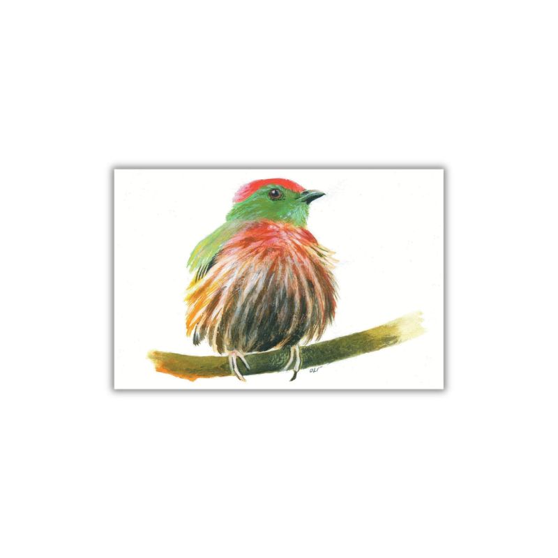 Pohlednice Ptáček na větvičce Olívie Olivová