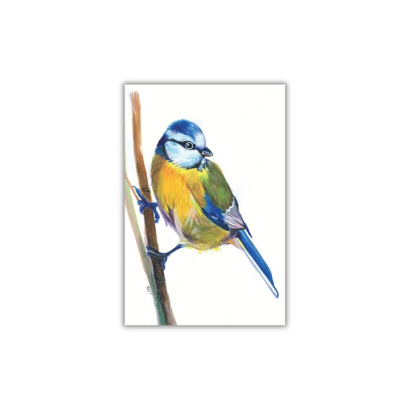 Pohlednice Sýkorka modřinka Olívie Olivová