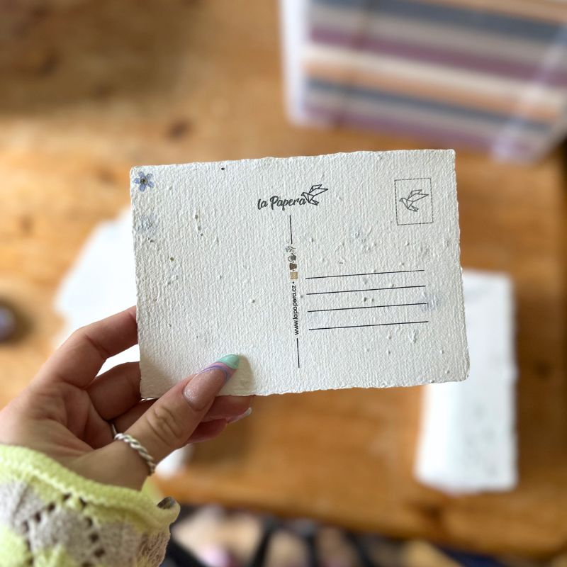 Kvetoucí pohlednice ruční papír Pomněnky fotka